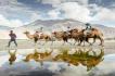http://www.visitindiataxi.com/images/xpackages/106x70/image142.jpg