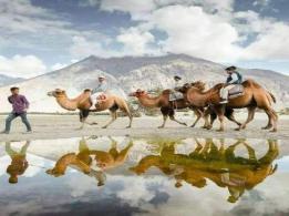 Leh Ladakh Tour With Kashmir Valley